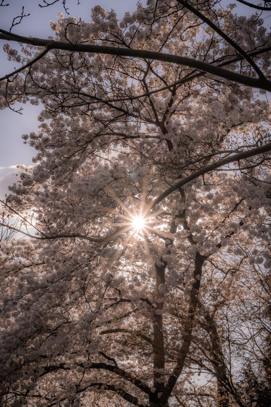 今、この一瞬でプラスに変わってみよう!
