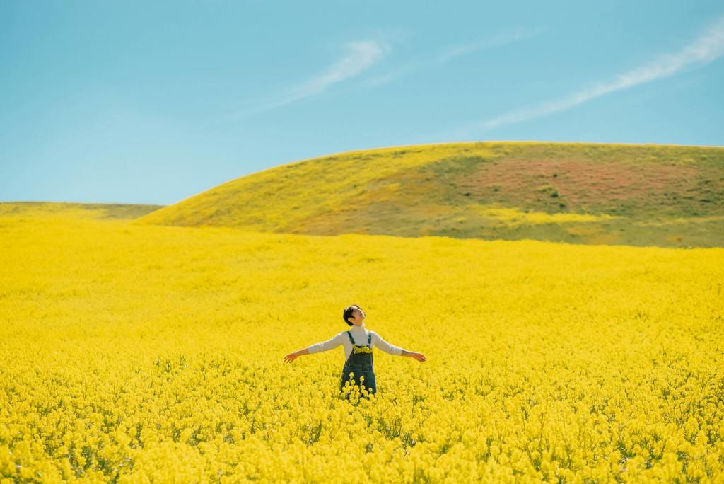 人生って最高に素敵だ！