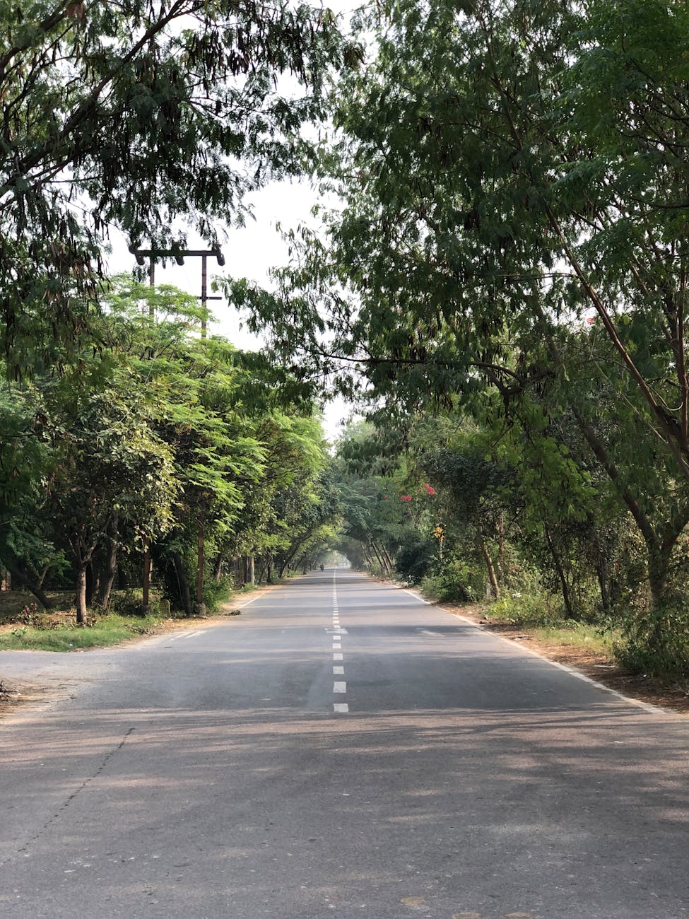 すべてをプラスに転化する力