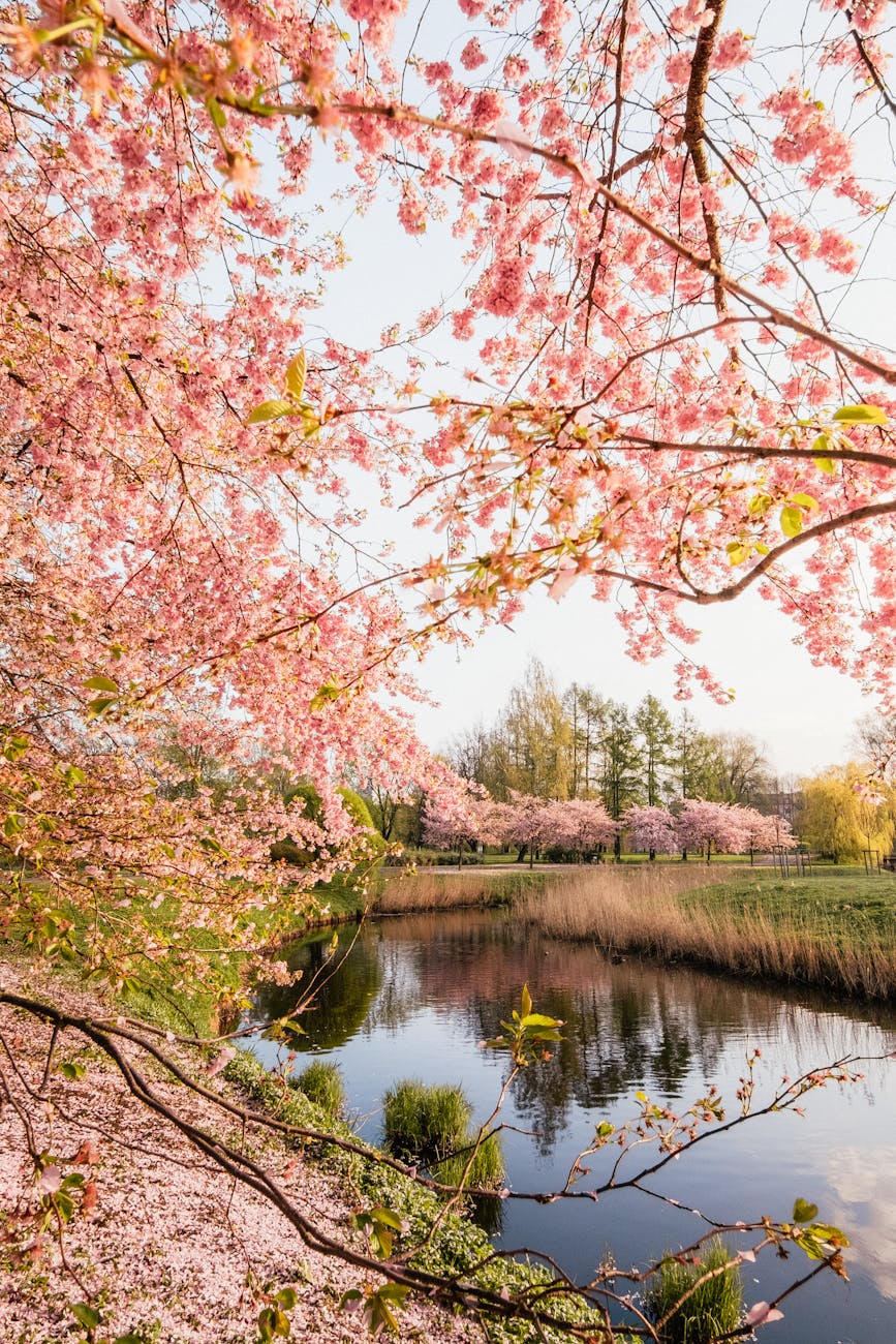 考える軸をどんどん変えていく