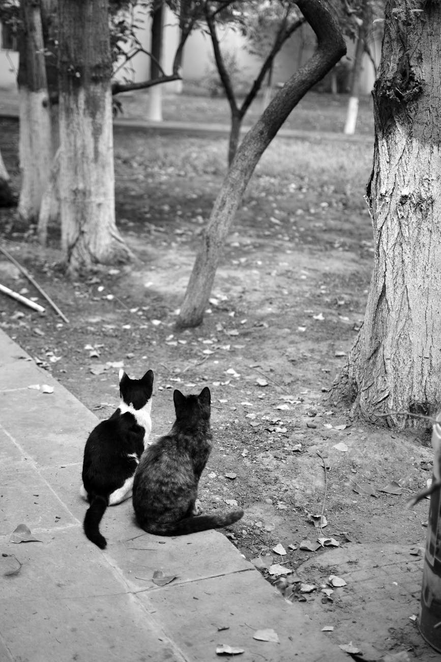 静かに強く 思い切り羽ばたけ!